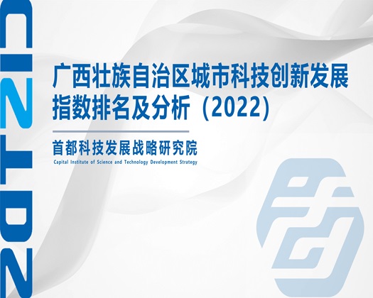 骚货网站【成果发布】广西壮族自治区城市科技创新发展指数排名及分析（2022）